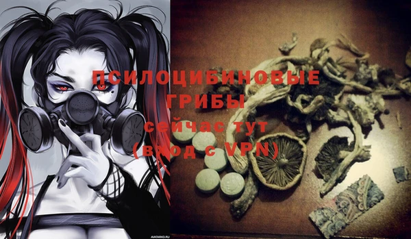 крисы Алексеевка