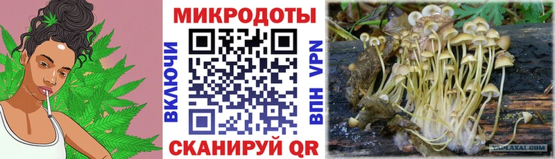 Галлюциногенные грибы прущие грибы  Ленинск 